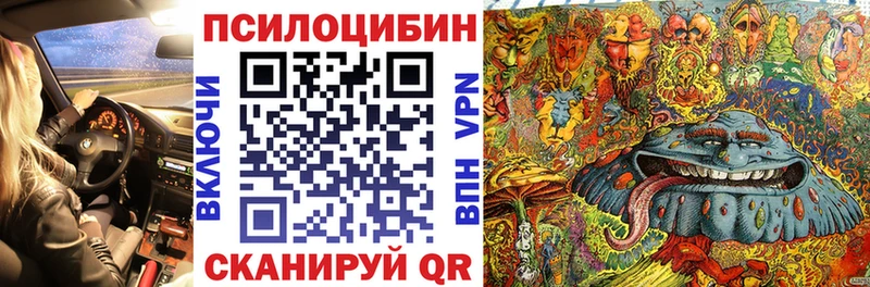 Галлюциногенные грибы Cubensis Сясьстрой